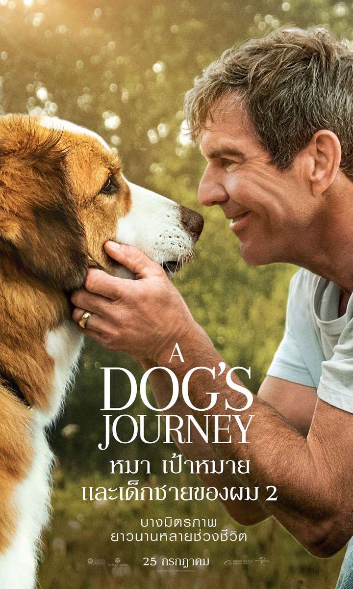 A Dog’s Journey (2019) หมา เป้าหมาย และเด็กชายของผม 2 - ดูหนังออนไลน
